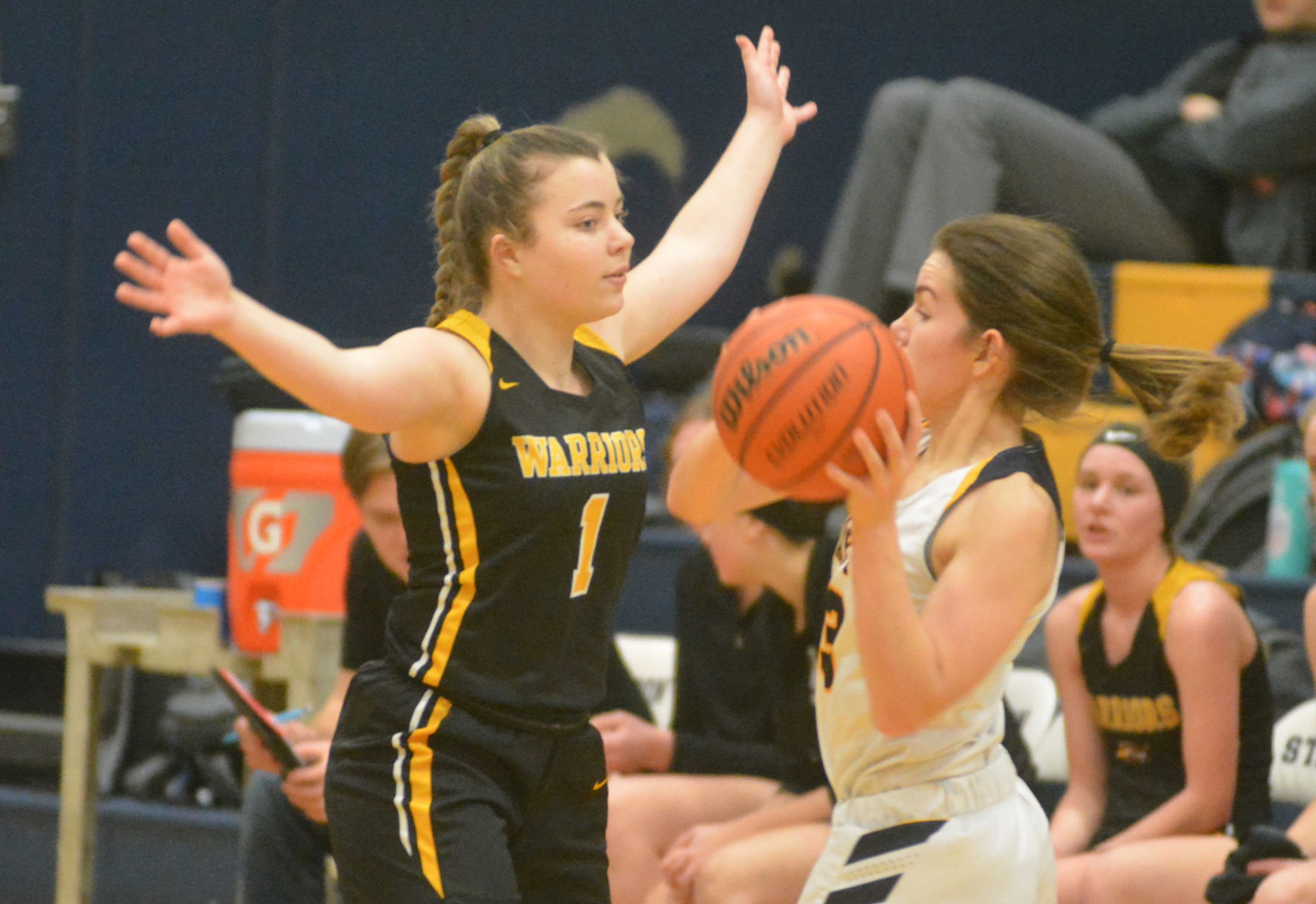 PHS girls basketball: Alexis Van Vlack